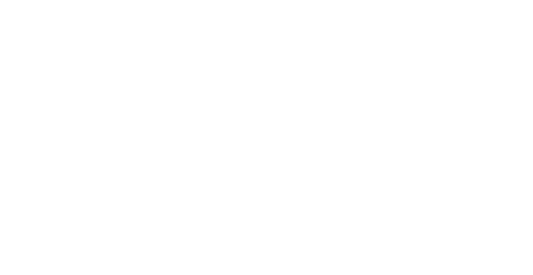THE STANDARD